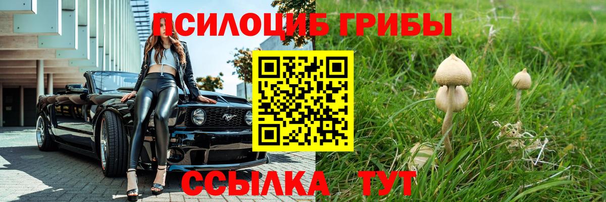 Галлюциногенные грибы ЛСД Менделеевск