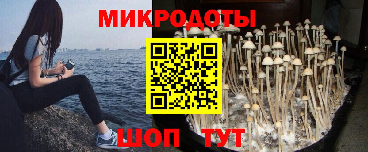 Галлюциногенные грибы Magic Shrooms  Вход с VPN  Менделеевск  Галлюциногенные грибы Psilocybine cubensis 